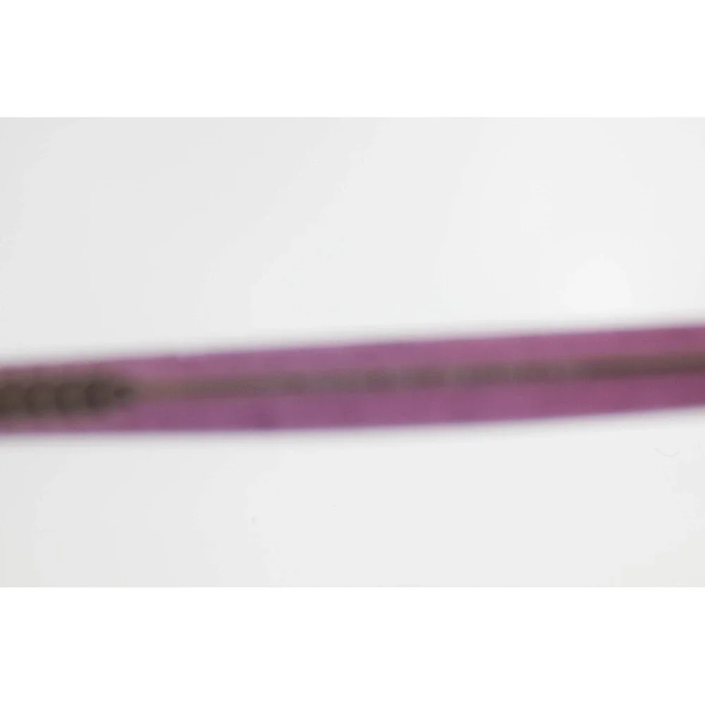 Indi Eyeglasses Clear Purple Glitter Cat Eye Frames 49-15-130 37679